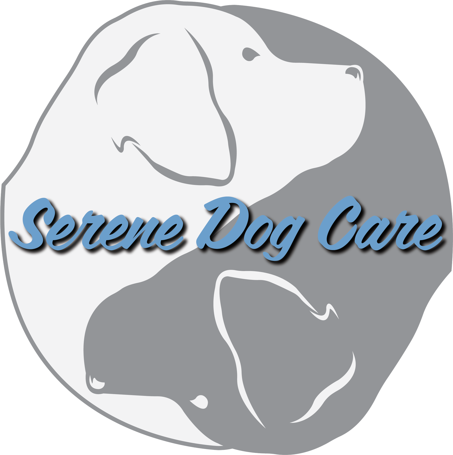 Silver muzzle hotsell dog retirement home